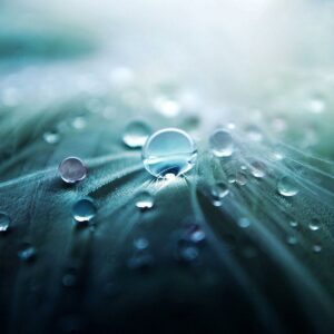 abstract-art-blur-268819 Water Tip